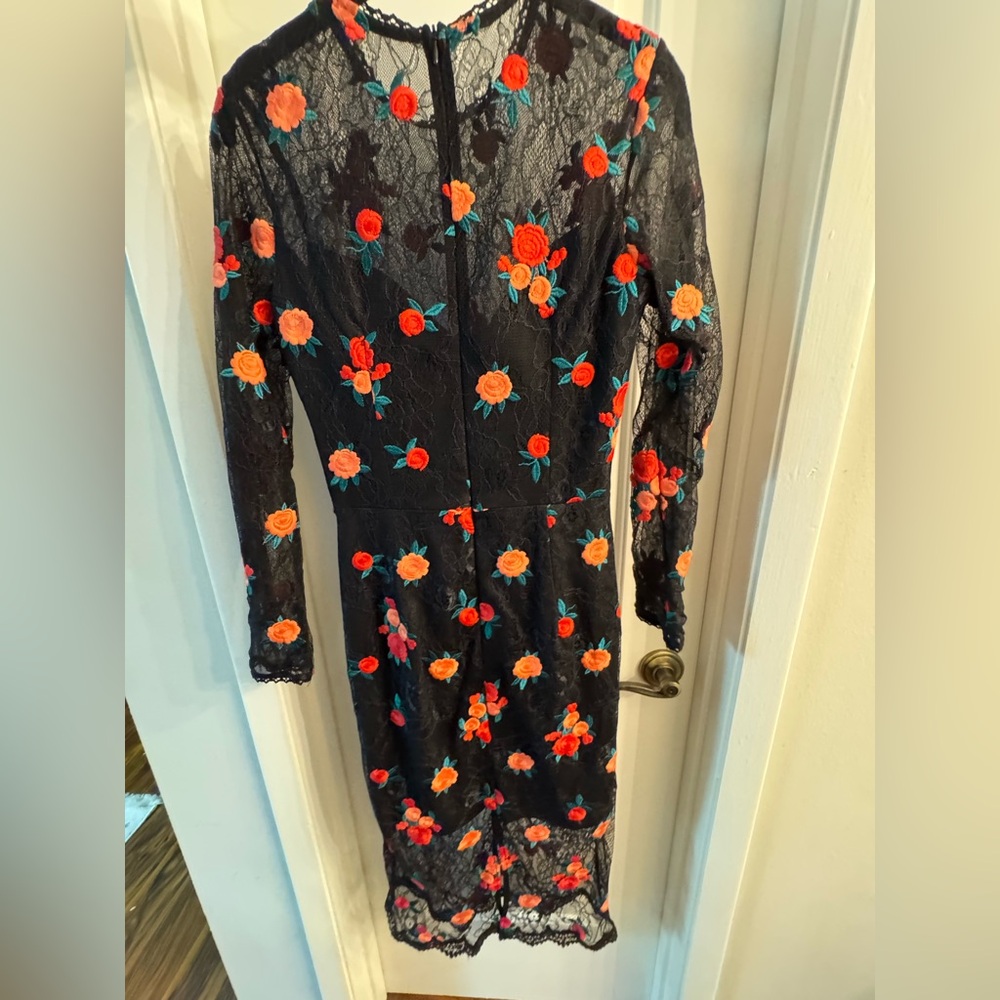 Sophia Long Sleeve Embroidered Illusion Dress